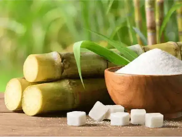 Textile Pulp and Paper Industry